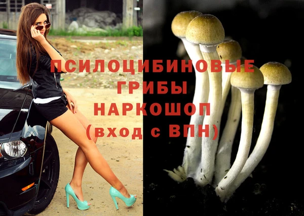 ECSTASY Алзамай